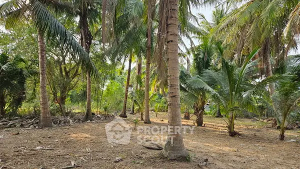 image_rental-30361612