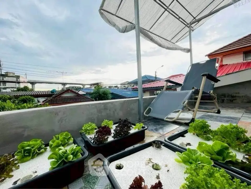 Charming rooftop garden with lush greenery and relaxing seating area, perfect for urban retreat.