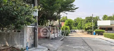 Charming suburban street view with lush greenery and cozy homes, perfect for peaceful living.