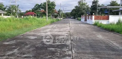 Quiet residential street with lush greenery and modern homes