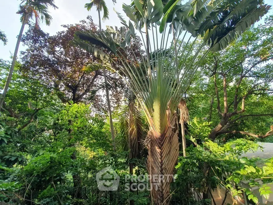  1 Bedroom Condo at Condolette Dwell Sukhumvit 26-1