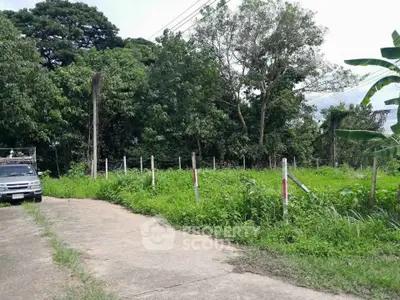 Spacious plot of land with lush greenery and paved access road, ideal for development.