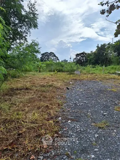 Spacious vacant land with lush greenery and gravel path, perfect for development opportunities.