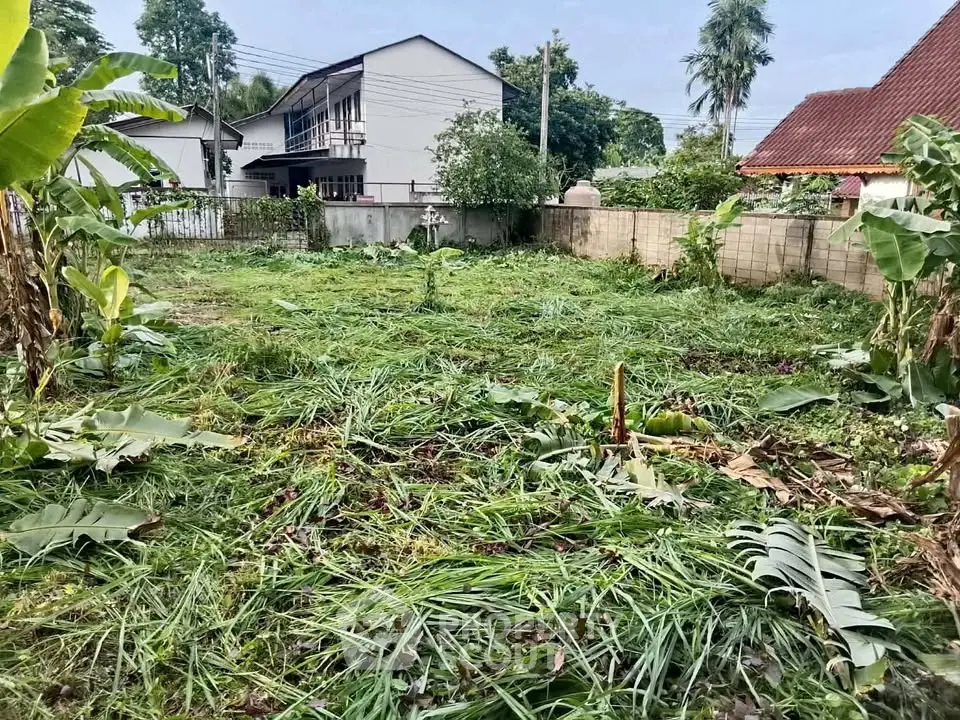 Spacious residential plot with lush greenery, ideal for building a dream home in a serene neighborhood.