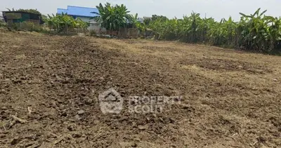 image_rental-31521456