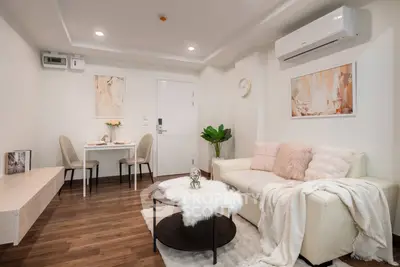 Chic modern living room with cozy decor and elegant furniture