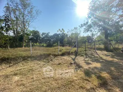 Expansive land plot with lush greenery and gated entrance, perfect for development opportunities.