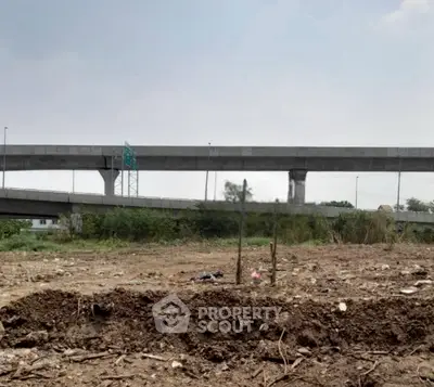 image_rental-31742871