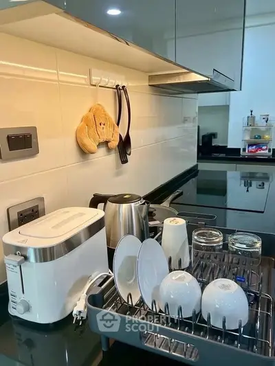 Modern kitchen with sleek appliances and stylish dish rack, perfect for contemporary living.