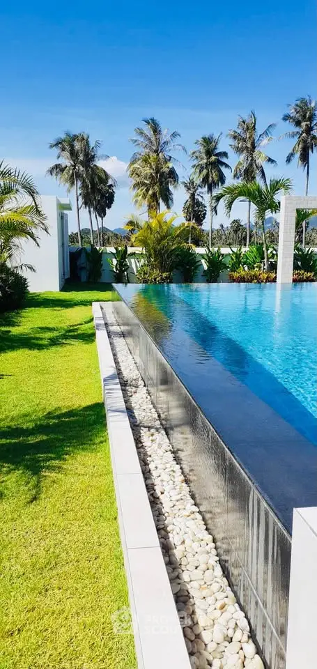 Luxurious infinity pool with lush tropical garden and palm trees, perfect for relaxation and leisure.