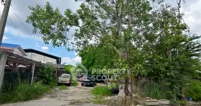 image_rental-30752395