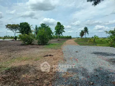 Expansive land plot with gravel path and lush greenery, perfect for development opportunities.