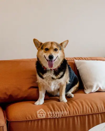 Cozy living room with a cheerful dog on a stylish orange sofa.