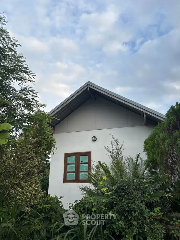 image_rental-29295685