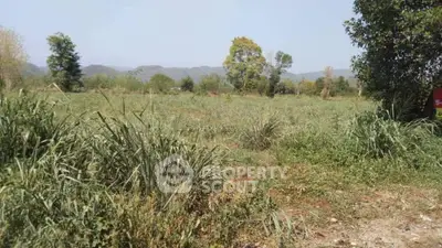 image_rental-19536035