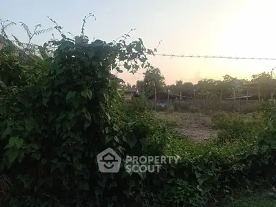 Scenic view of lush green land with sunset backdrop, ideal for real estate development.