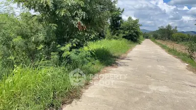 Scenic rural pathway surrounded by lush greenery and distant hills under a blue sky.