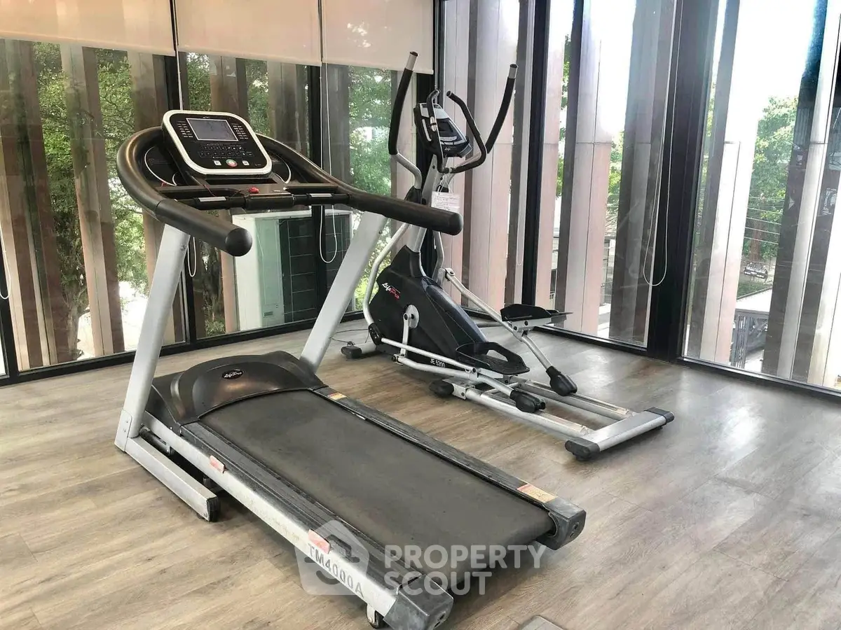 Modern gym with treadmill and elliptical in a bright, glass-walled fitness area.