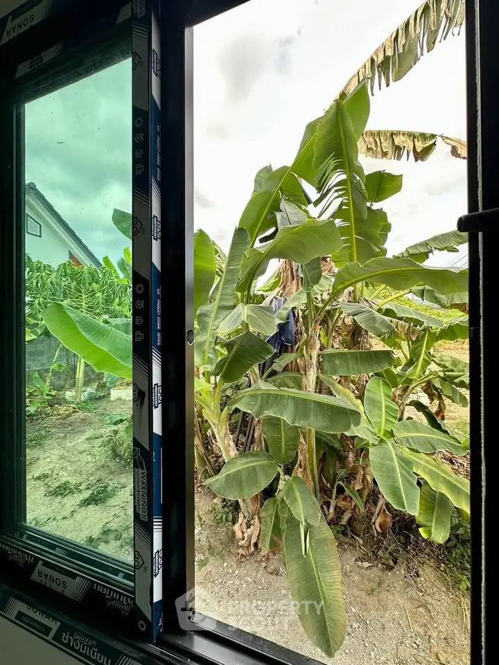 View from a window overlooking lush banana plants in a serene rural setting.