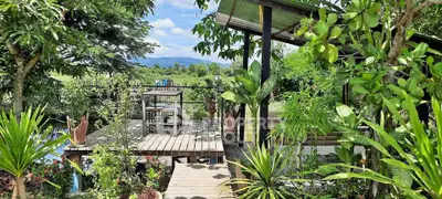 Stunning garden view with lush greenery and wooden deck, perfect for outdoor relaxation.