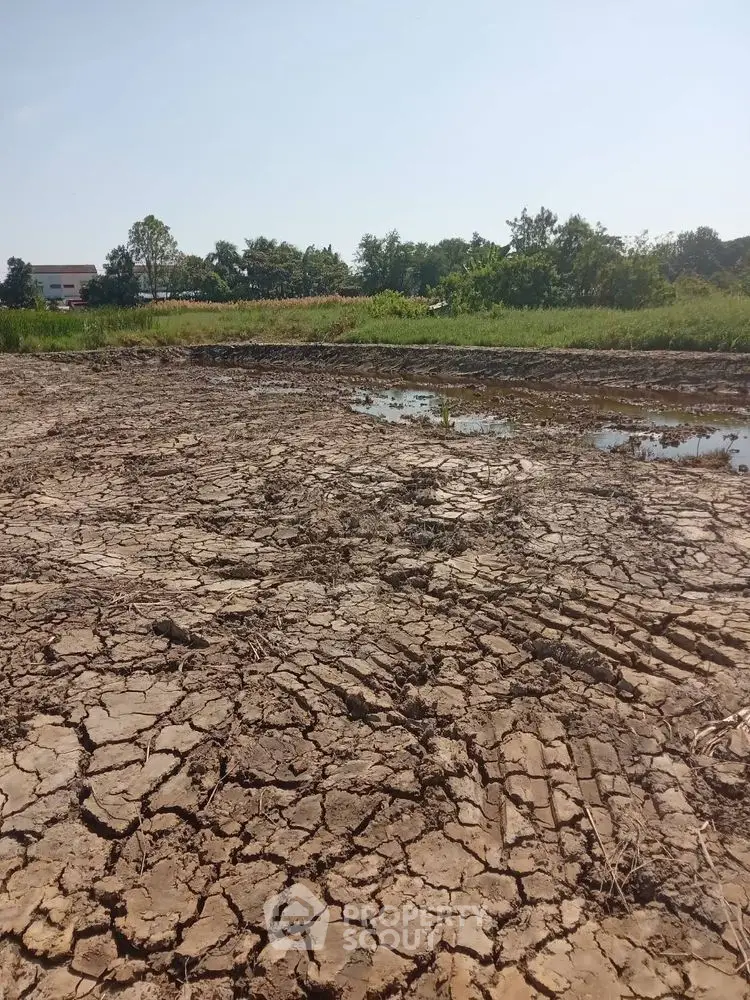 Expansive land plot with dry, cracked soil, ideal for development opportunities.