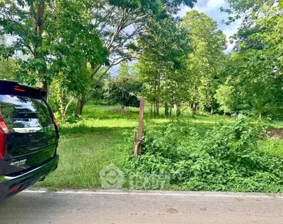 Scenic plot of land with lush greenery and trees, perfect for development or investment.