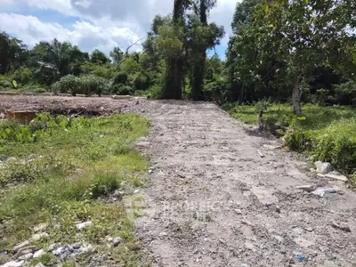Vacant land with lush greenery, ideal for development opportunities.