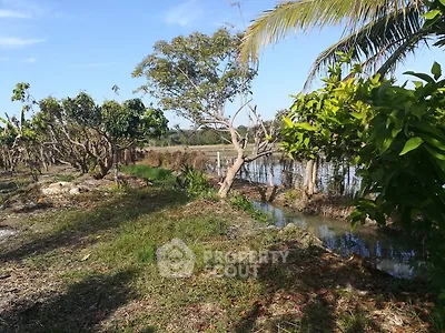 Lush garden landscape with tropical trees and serene water feature