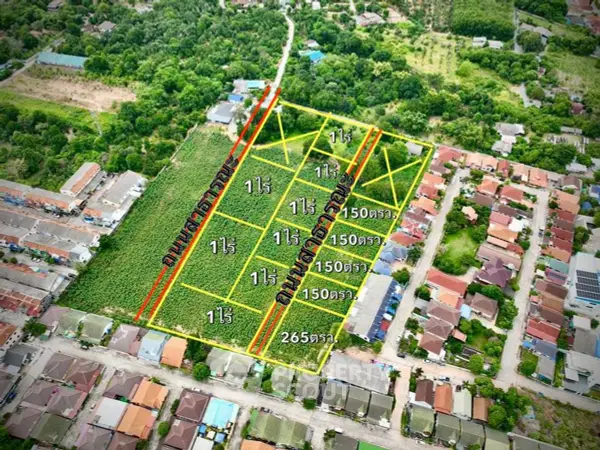 image_rental-30966519