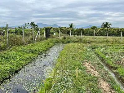 image_rental-31514997