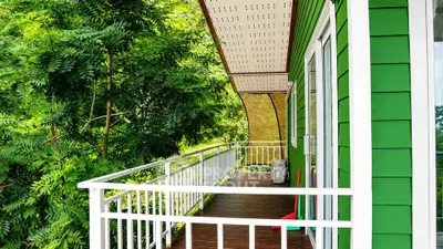 Charming green house with spacious balcony surrounded by lush greenery, perfect for nature lovers.