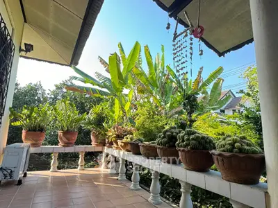 Charming garden balcony with lush greenery and potted plants, perfect for relaxation.