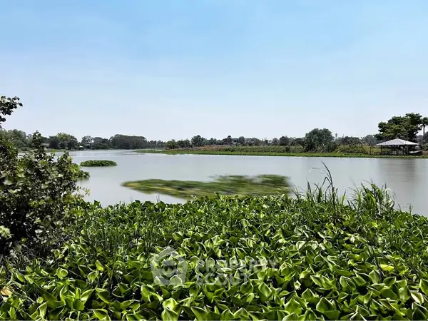 image_rental-34894899
