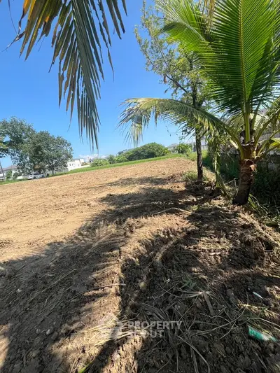 Expansive plot of land with lush greenery and palm trees, perfect for development or agriculture.