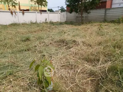 Spacious vacant land plot with potential for development in a serene neighborhood.