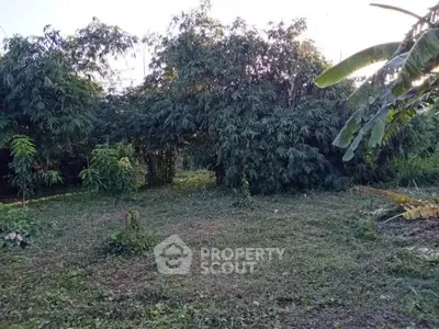 image_rental-19534650