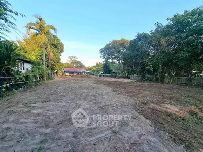 image_rental-31337988