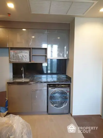 Modern kitchen with sleek cabinets and built-in washing machine