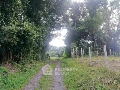 image_rental-31406039