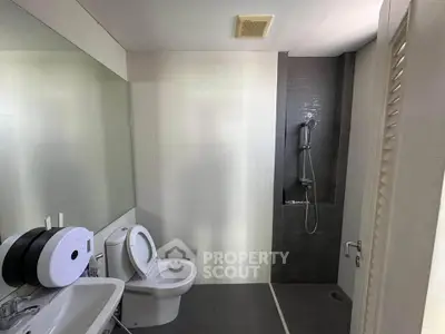 Modern bathroom with sleek shower and large mirror