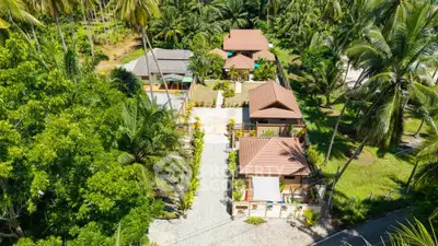 Tropical paradise with charming bungalows surrounded by lush greenery and palm trees, perfect for serene living.
