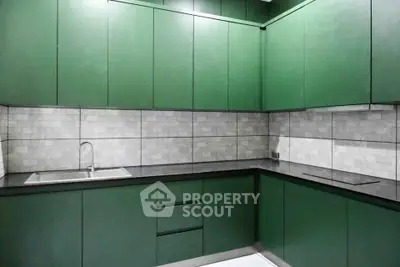 Modern kitchen with sleek green cabinets and black countertops