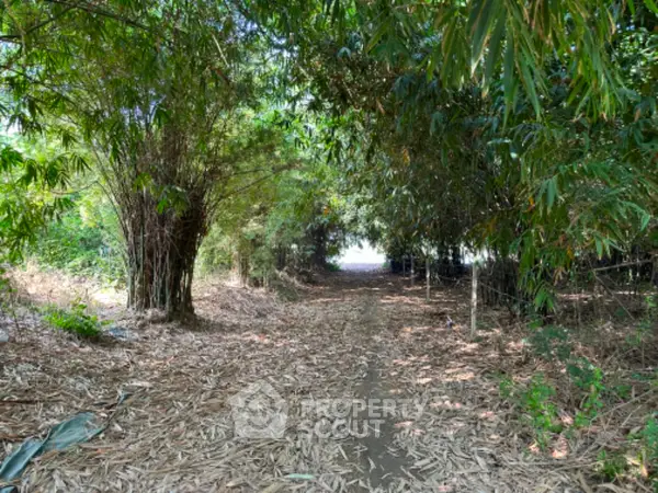 image_rental-21855542