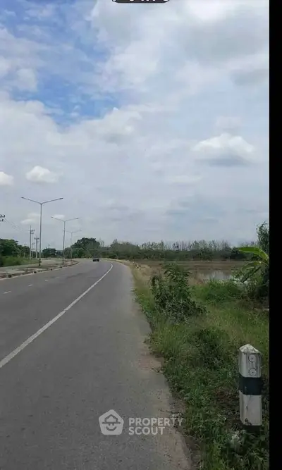 Scenic road view with lush greenery and open sky, ideal for real estate development.