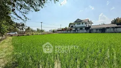 image_rental-30570695