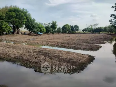 Expansive agricultural land with water channels and lush greenery, ideal for farming opportunities.