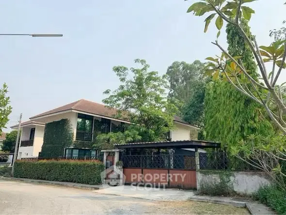 image_rental-31408048