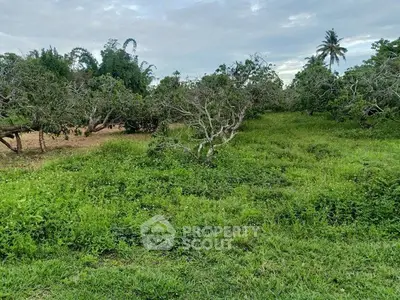 Expansive green land with lush trees, perfect for development or agriculture.