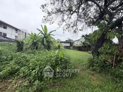 Spacious green garden area with lush vegetation and trees, perfect for outdoor activities and relaxation.