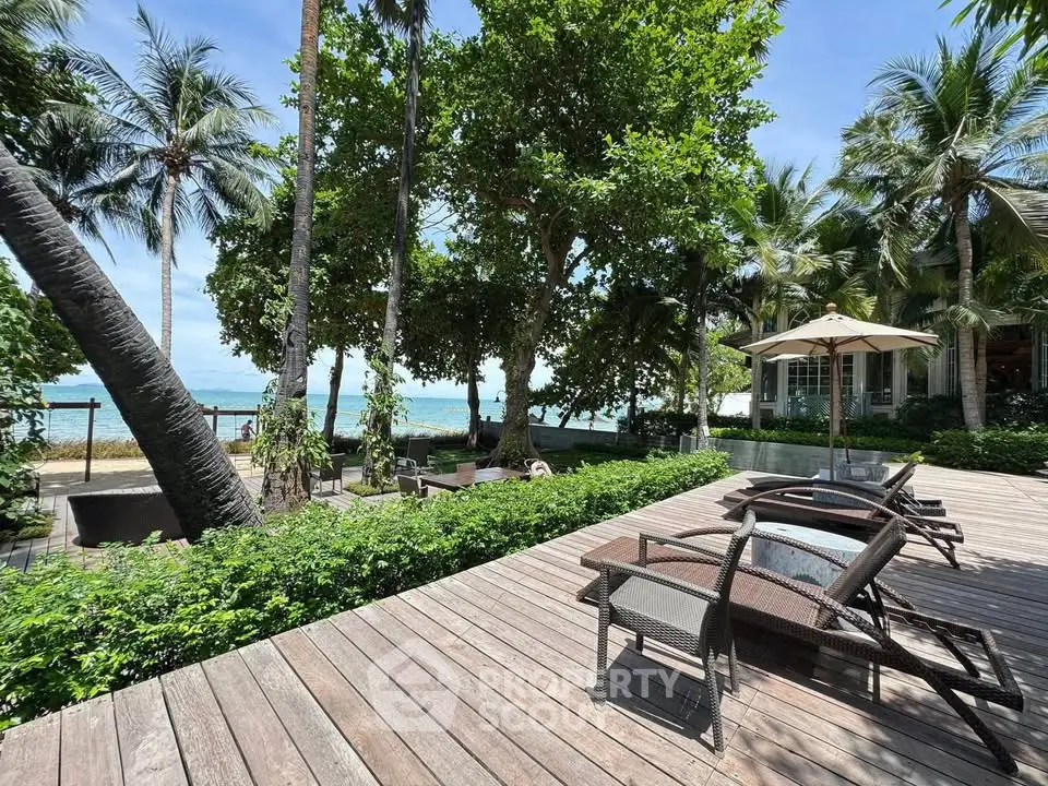 Luxurious beachfront garden with sun loungers and lush palm trees, perfect for relaxation and ocean views.